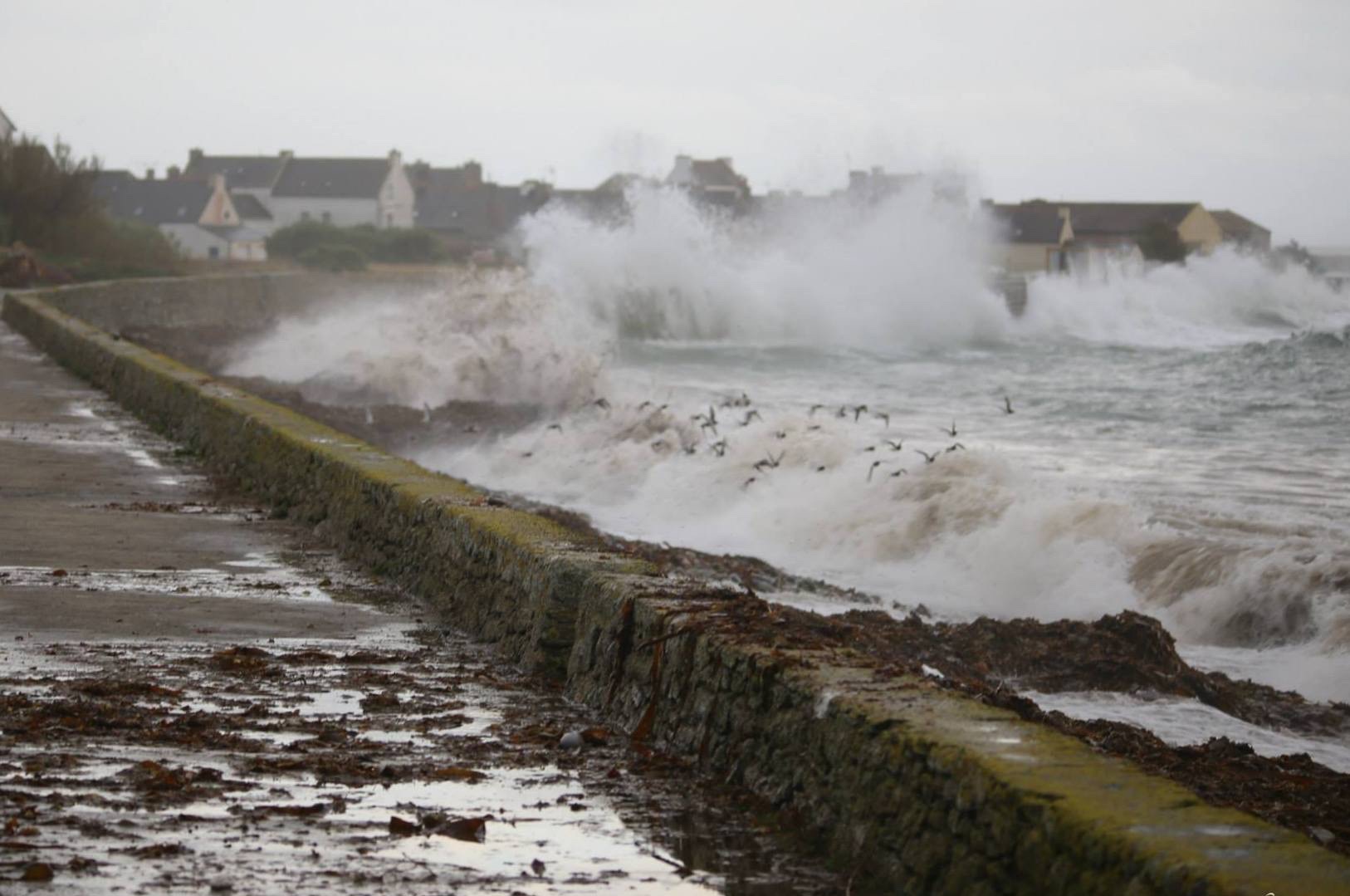 Crues et vents forts : la France confrontée à un nouvel épisode météo extrême
